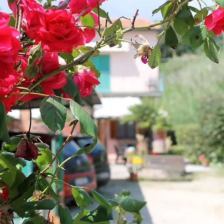 Val Di Denari * 포르토페라이오